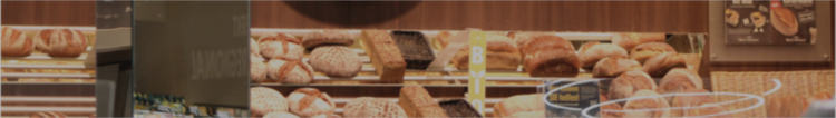 Bylitza Birkenau header background